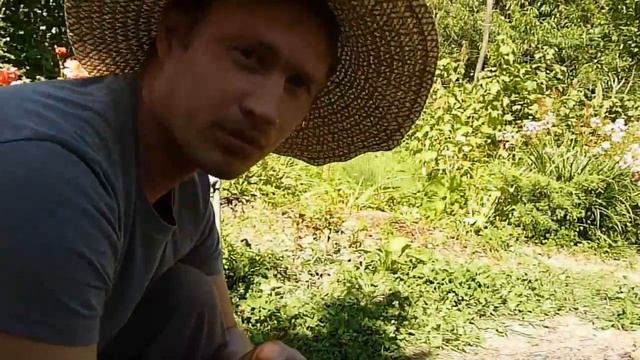 Как заработать деньги в деревне // Жизнь в деревне // смотреть онлайн