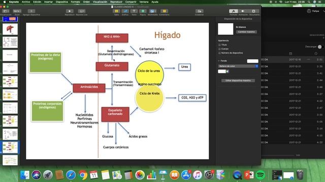 Transaminación, desaminación oxidativa, ciclo de la urea y movilización de amonio смотреть онлайн