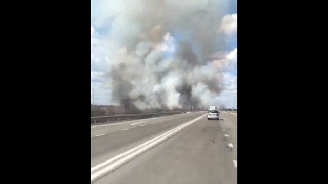 У поселка Приамурского Смидовичский район горит пойменная часть Пемзенской протоки смотреть онлайн