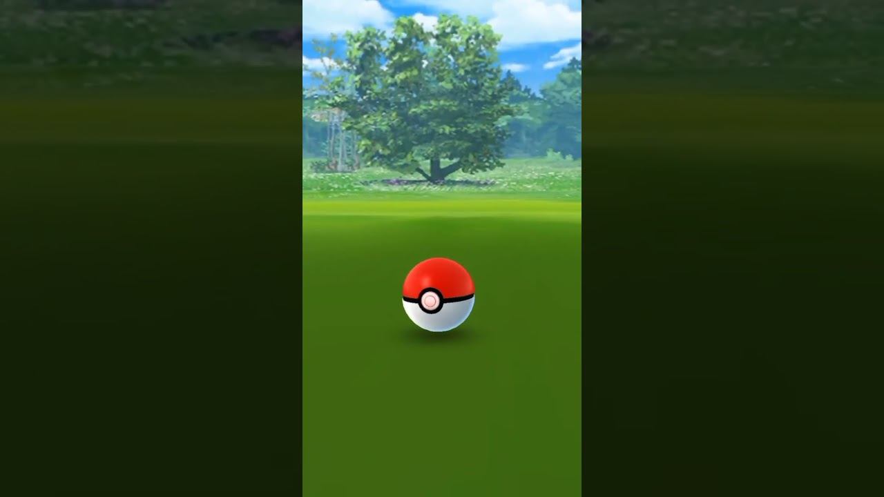 Shiny Galarian Zigzagoon (Community Day) - Pokémon GO смотреть онлайн