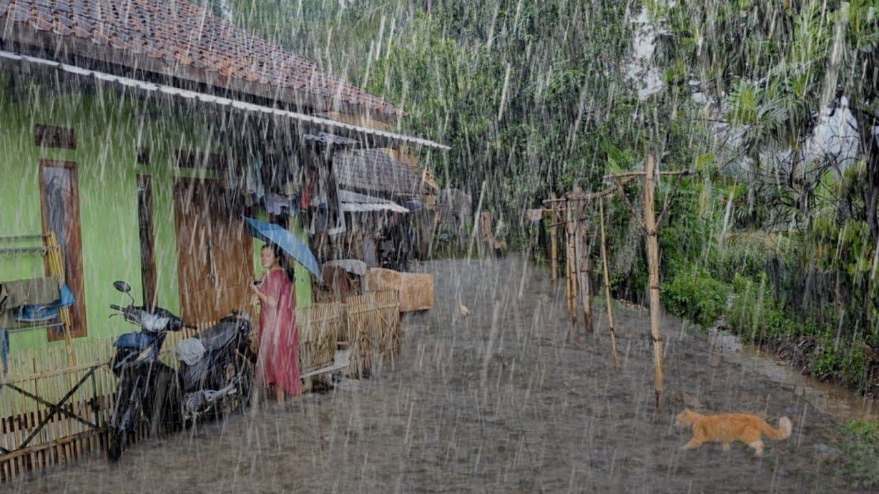 Heavy Rain In My Village | Beautiful Rain , Fell Asleep Instantly With The Sound Of Heavy Rain