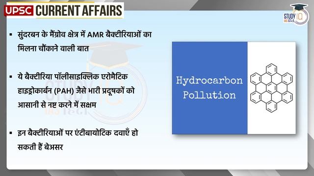AMR Bacteria Found in Sundarbans Mangroves | UPSC PRE 2024 | StudyIQ IAS Hindi смотреть онлайн