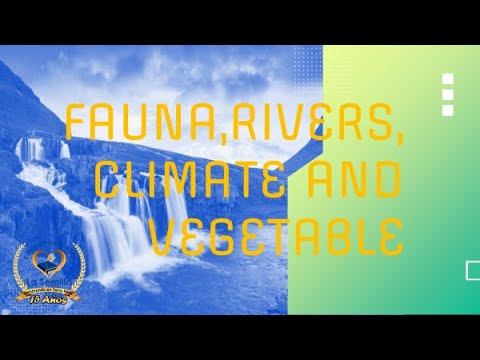 Fauna, Rivers, Climate and Vegetation / Miss. Milly Rodas смотреть онлайн