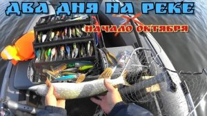 ОСЕННЯЯ РЫБАЛКА ТРОЛЛИНГОМ.Двух дневный троллинг на ОКЕ