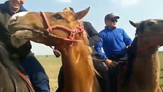 Жетимдер руы туралы айтып жатыр, ЕрМахан боксшы... смотреть онлайн