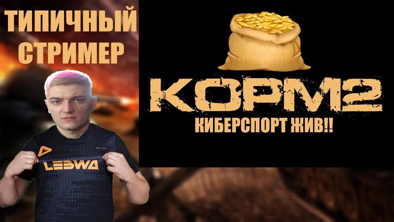 ТИПИЧНЫЙ КИБЕРСПОРТИВНЫЙ СТРИМЕР ИЗ КОРМ 2 смотреть онлайн