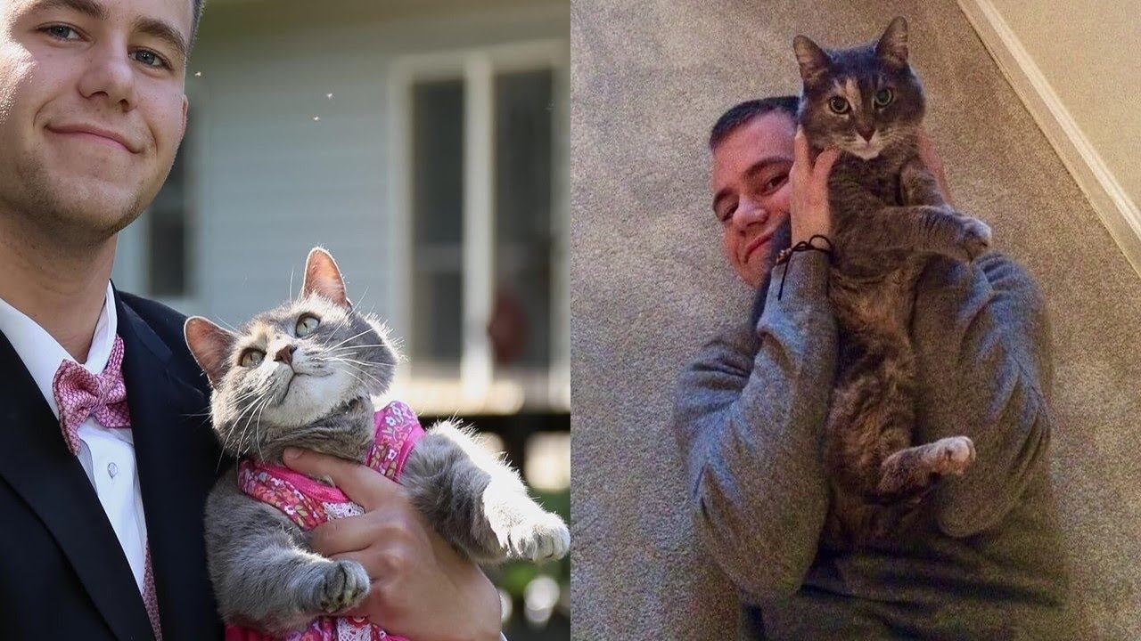 This Guy Couldn’t Find a Date to School Prom, So He Took His Cat смотреть онлайн