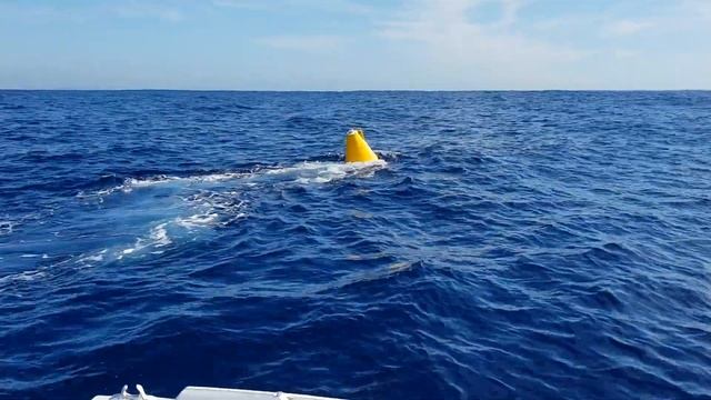 FAD 21 in the East Australian Current смотреть онлайн