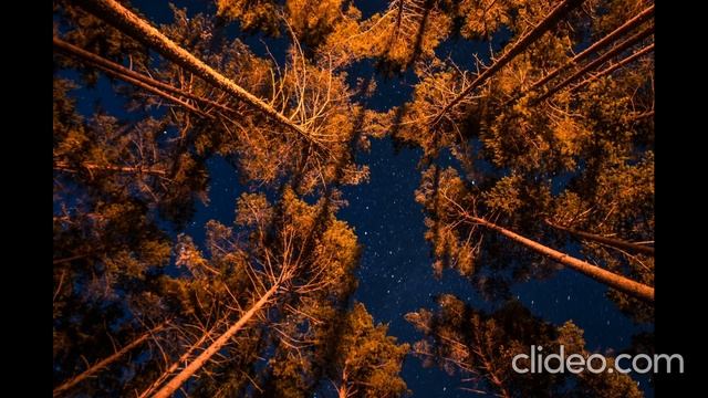 30 минут релакса смотреть онлайн