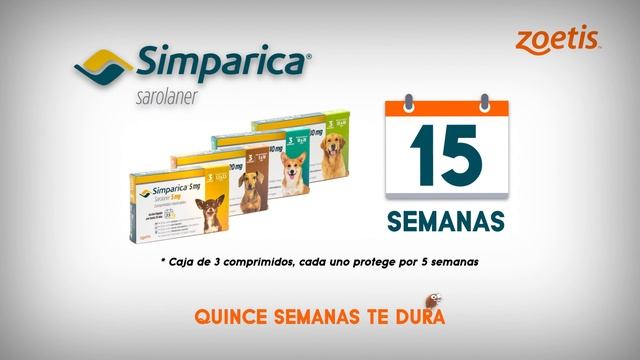 Simparica смотреть онлайн