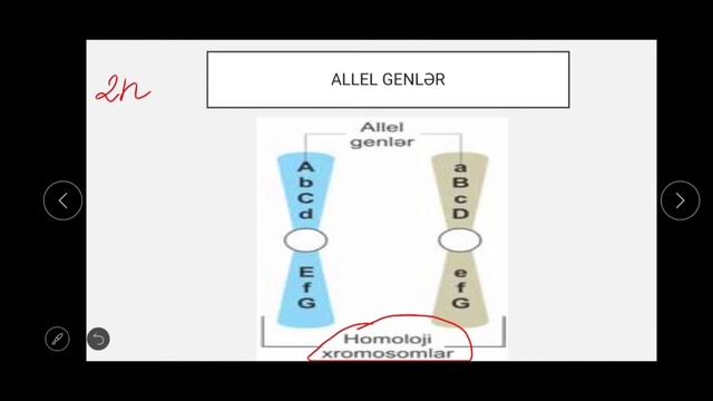 GENETİKA dərs 1- Genetikanın əsas anlayışları смотреть онлайн