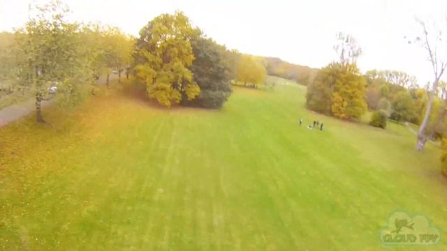 GEPRC-VX5 - FPV Freestyle at Lünischlake, Brunswick смотреть онлайн