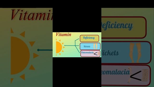 Vitamin D смотреть онлайн