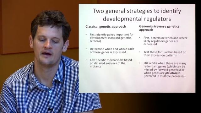 Animal Development - Imaging and Genomics смотреть онлайн