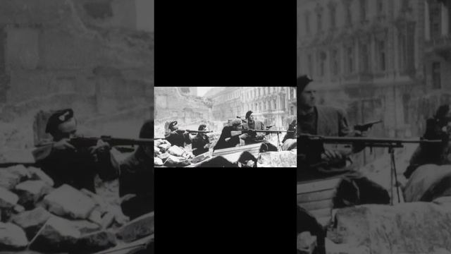 Witold Pilecki a forgotten Hero in History #history #historyfacts #memes #ww2 #pilecki смотреть онлайн