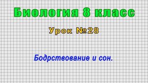 Биология 8 класс (Урок№28 - Бодрствование и сон.)