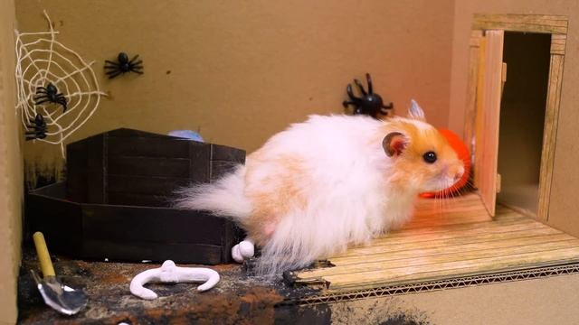 Хомяк в Лабиринте с Бабкой Гренни - Хэллоуин