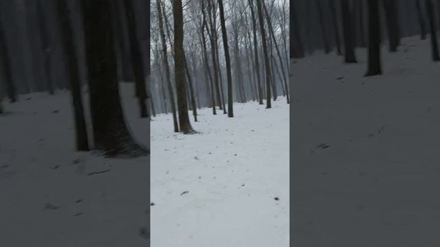 Под ногами - снег и лед ...#красота #зима #таинственное смотреть онлайн