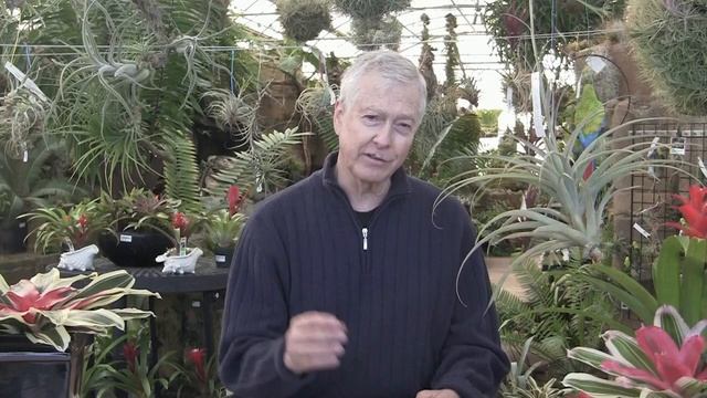 Paul Isley - Rainforest Flora, Inc. - #Ask Mr Tillandsia - 5 смотреть онлайн
