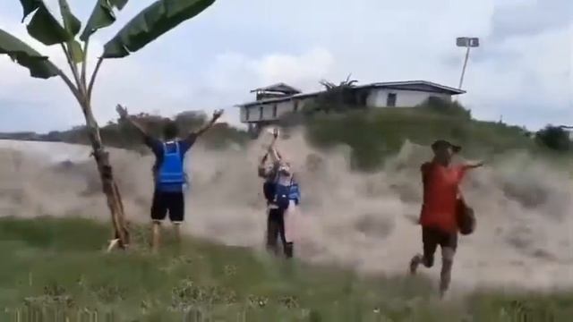 Hunga Tonga tsunami смотреть онлайн