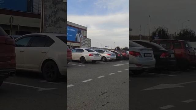 парковка для инвалидов краснодар смотреть онлайн