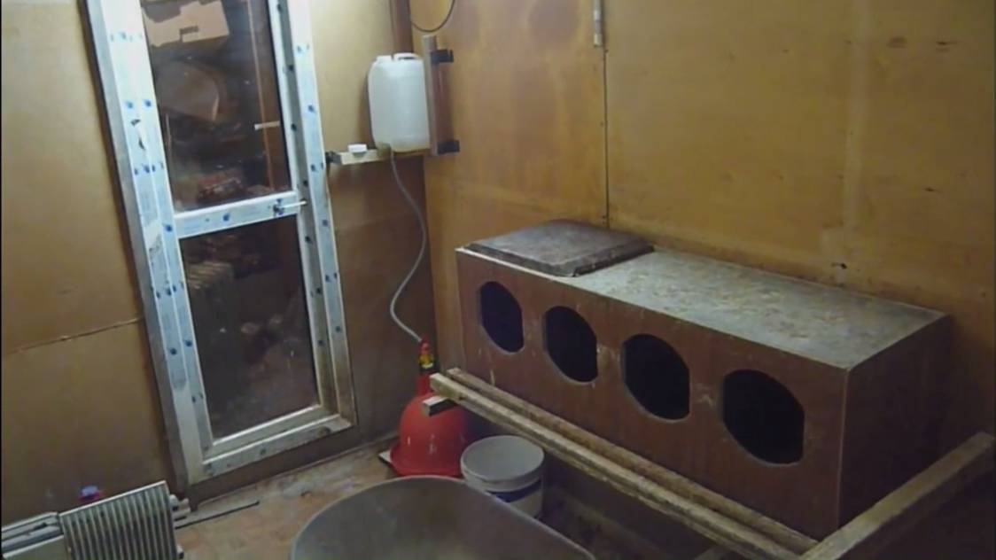 Где можно посмотреть