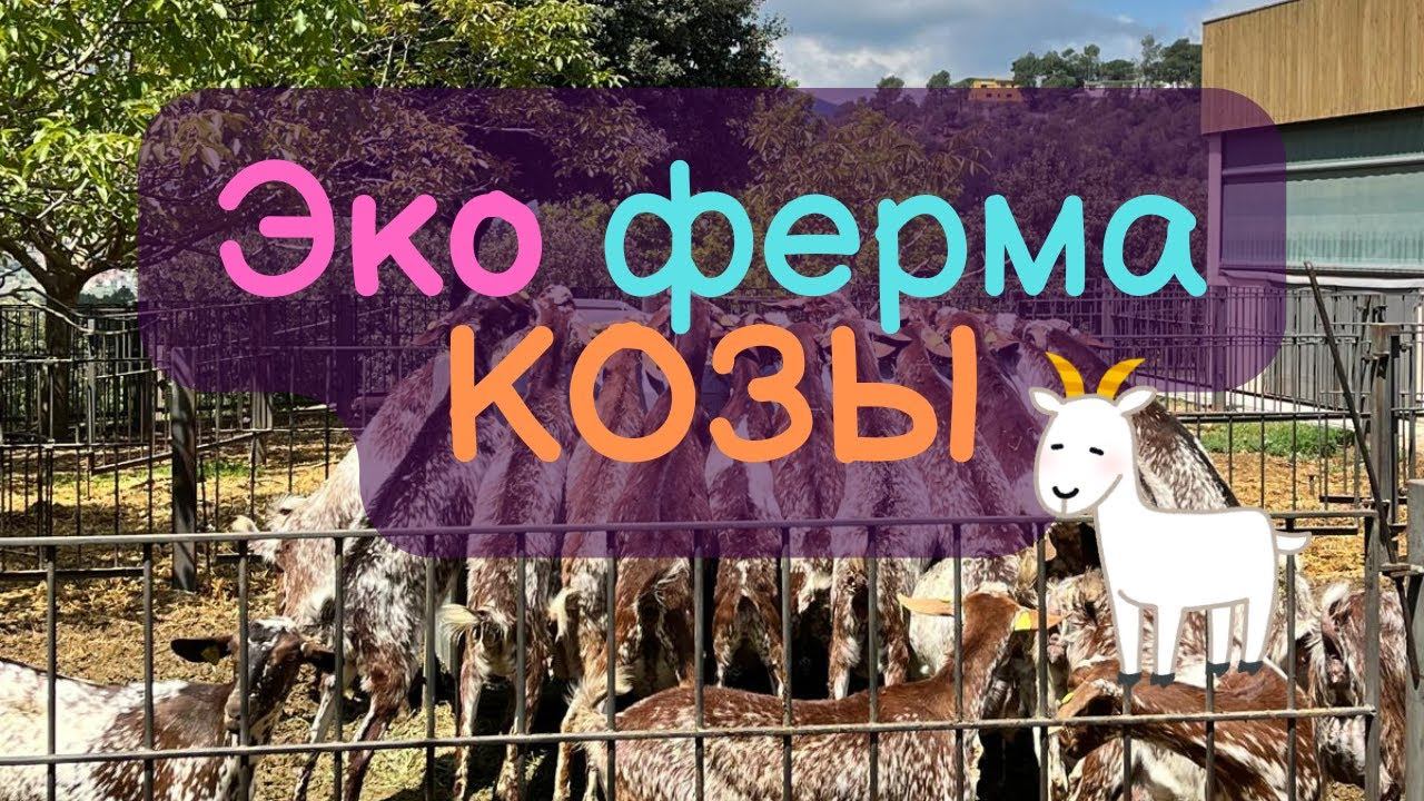 🐐 Козья сказка: Веселая Эко-Ферма с Козами 🌿 смотреть онлайн