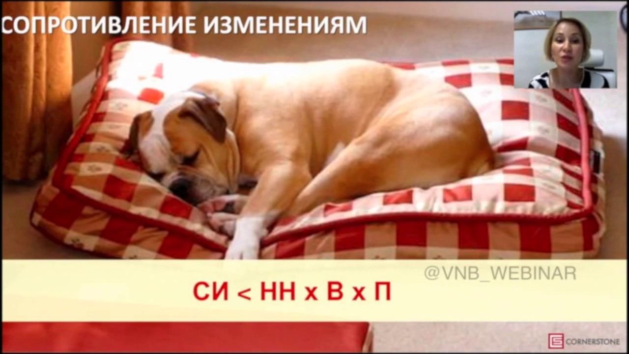 Вебинар ICF коуча "Женская самореализация" смотреть онлайн