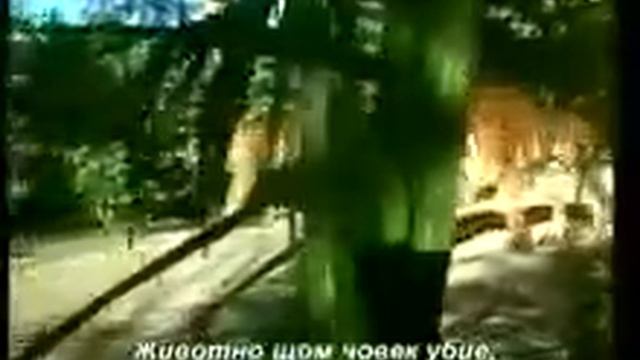 слонът-моят приятел4 смотреть онлайн