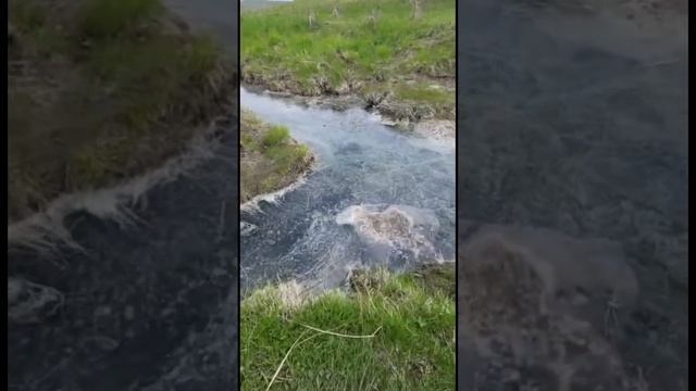 Сероводородный родник очень полезная вода для ЖКТ смотреть онлайн