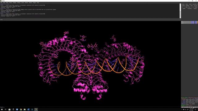 How to get FASTA sequence of Protein using PyMOL | Basic Science Series смотреть онлайн