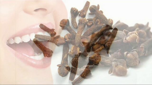 ҚАЛАМПЫР.ҚАЛАМПЫРДЫҢ ПАЙДАСЫ 🫘🫘🫘 смотреть онлайн
