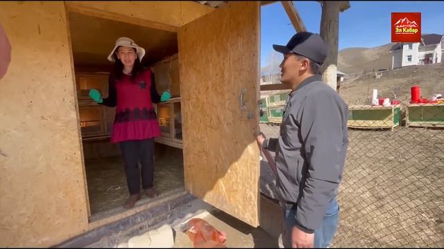 Гүлжан эже ТООК багуунун СЫРЫН ачты ~ Эти даамдуу ТООКТОРУ да сатылат смотреть онлайн
