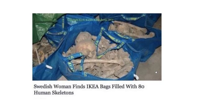 22.11.2019 БОРИС и Перч