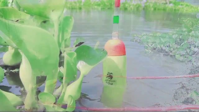 best Hook fishing 2022 ✅ lLittle Boy Hunting fish by fish hook from beautiful nature🥰🥰 part- смотреть онлайн