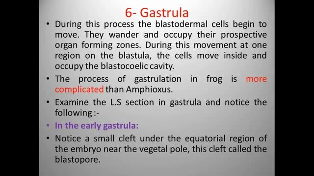 Early embryogenesis of frog/ part 2 смотреть онлайн