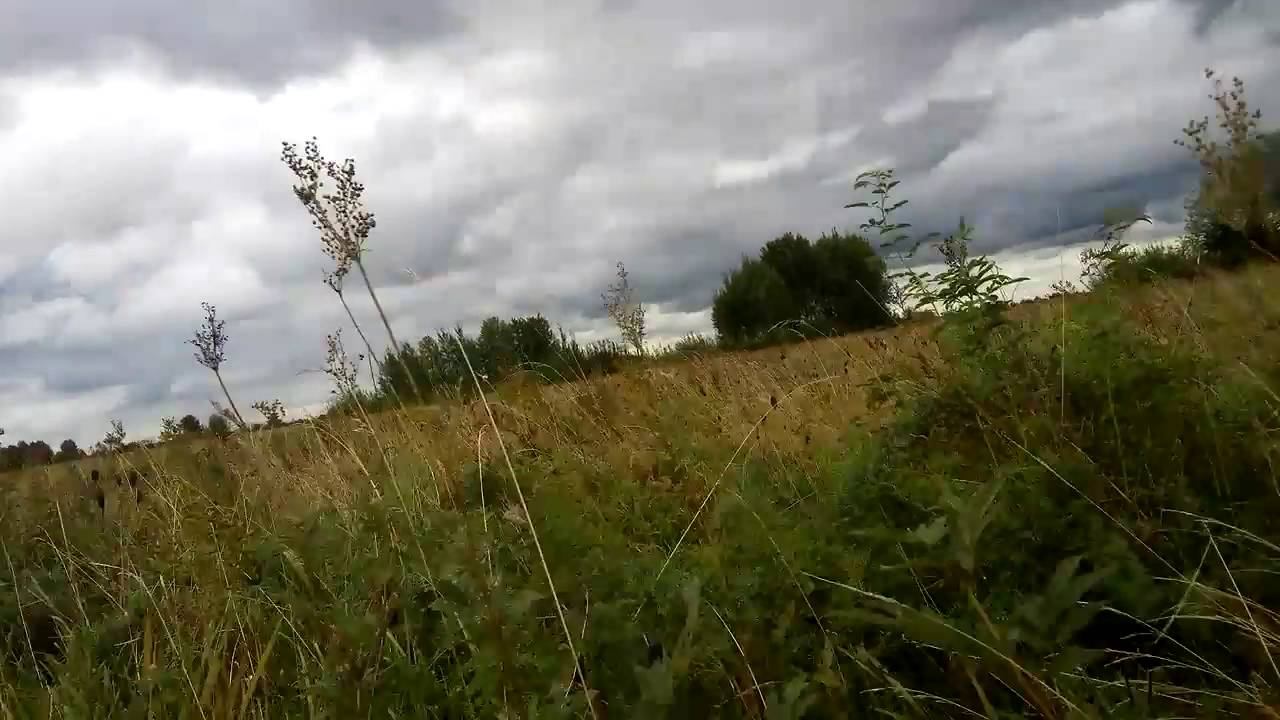Охота на уток 27.08.2016 смотреть онлайн