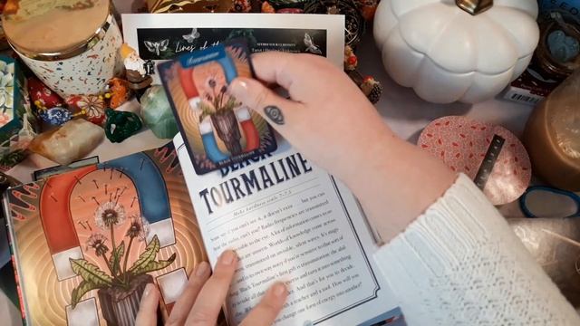 🦄Pick-a-Card: Your Mystical Animal Guide and The Message You Need Now! (Collab w/ Lines of the Lark смотреть онлайн