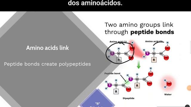 Carbs, proteins, nucleotides смотреть онлайн