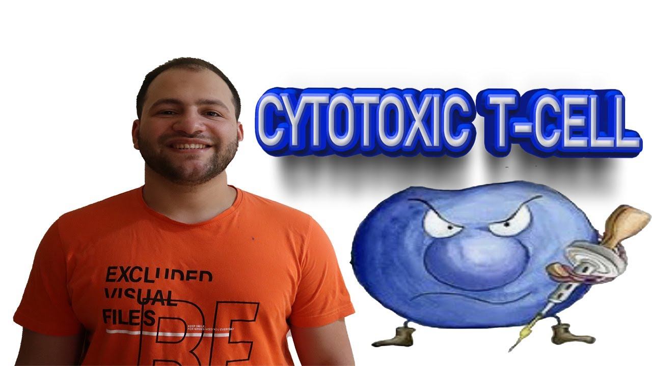 Cytotoxic T-cell Activation