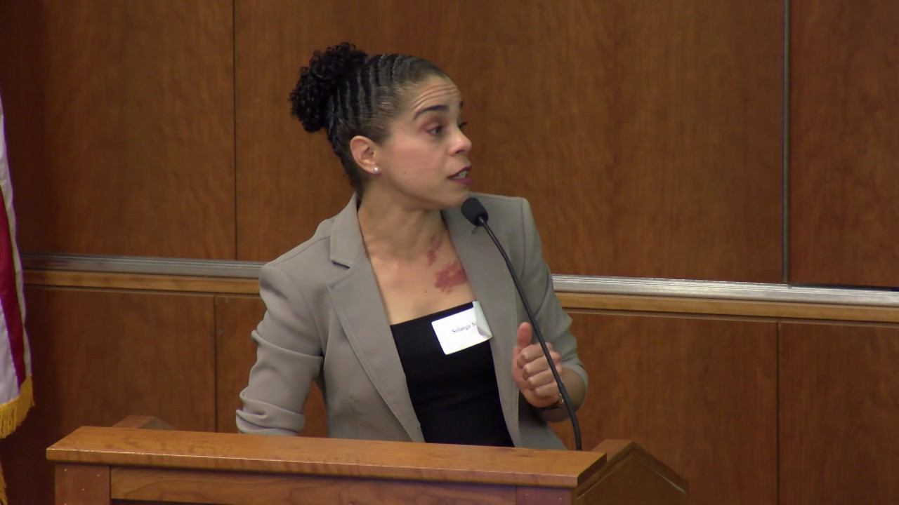 2017 05 25 Panel1 Situating Open Access смотреть онлайн