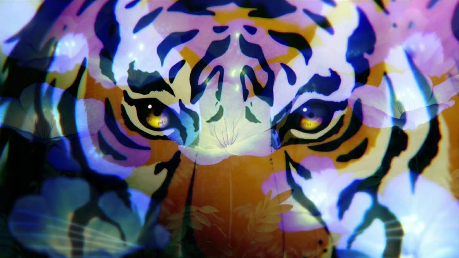 |AMV|Докажу себе, страху вопреки