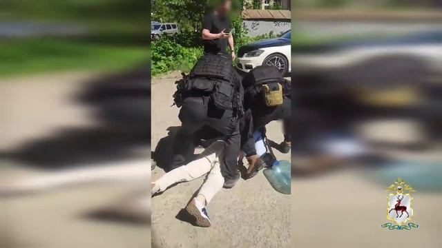 В Нижегородской области завершено расследование уголовного дела по факту нападения на полицейских смотреть онлайн