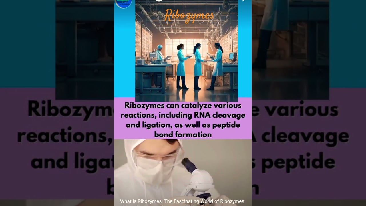 Ribozyme world#biology#biotechnology смотреть онлайн