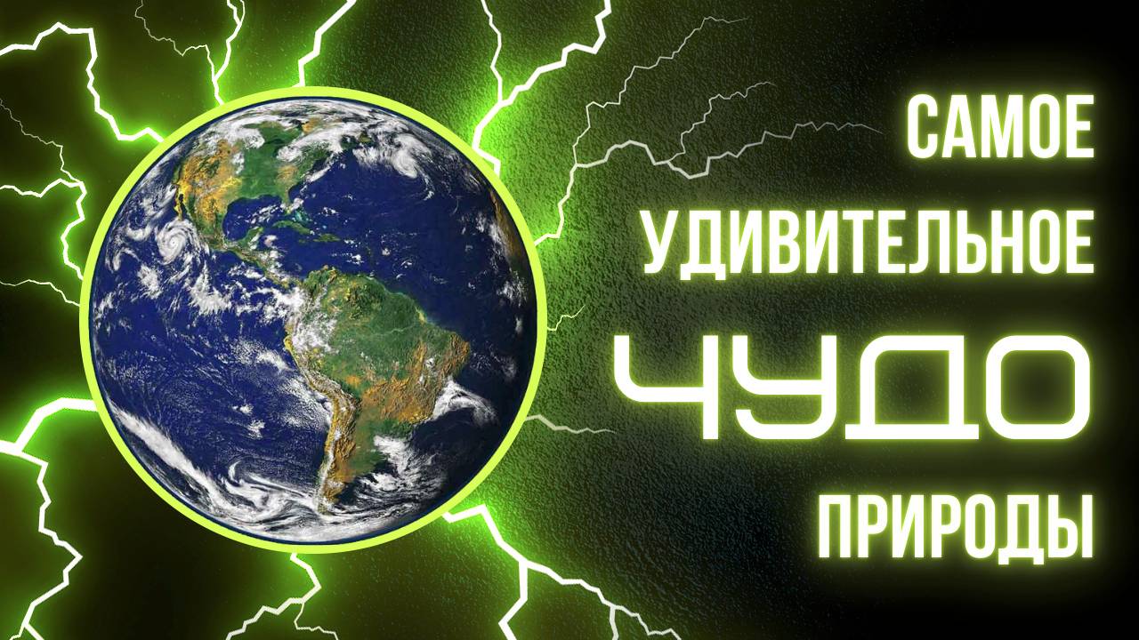 Самое поразительное ЧУДО природы! смотреть онлайн