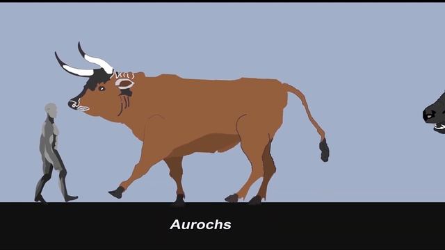 The size of CENOZOIC BEASTS | #SizeComparison | Animated size comparison in 2023 смотреть онлайн
