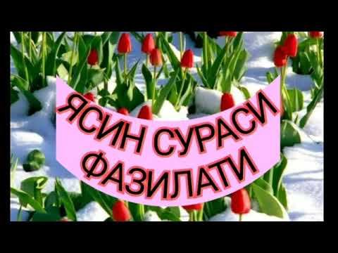ЯСИН СУРАСИ ФАЗИЛАТИ. смотреть онлайн