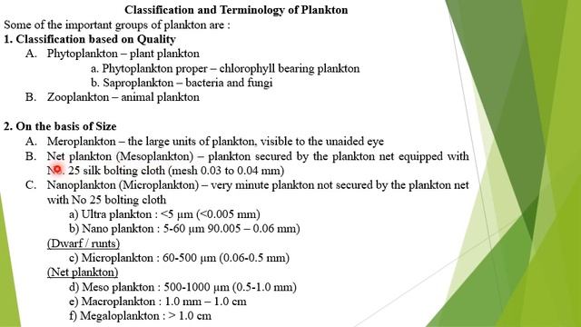 Classification of plankton смотреть онлайн