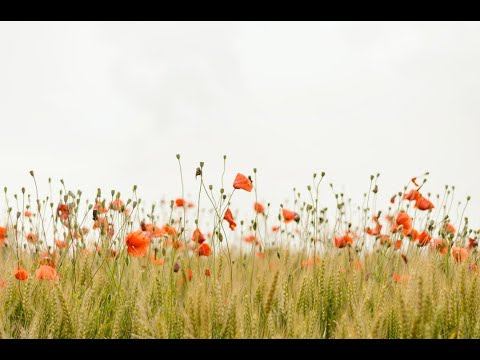 А Козловский - Человечек (исп. Олег Безуглов) смотреть онлайн