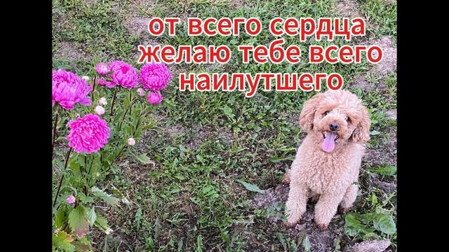 1126 смотреть онлайн